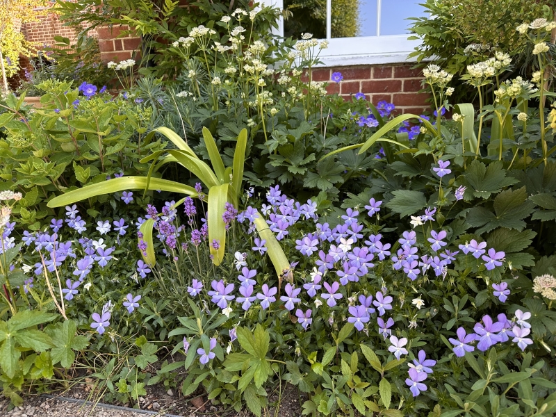 Quarry Wood Farm & Tilsmore Vineyard